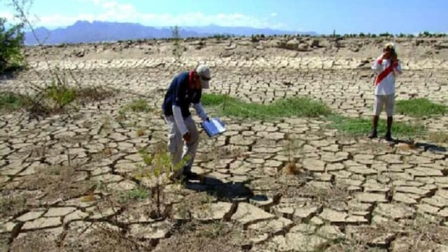 Hoy presentarán informe para la declaratoria de emergencia por sequía en el Alto Piura