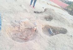La Libertad: Hallan restos de niños sacrificados por cultura Chimú