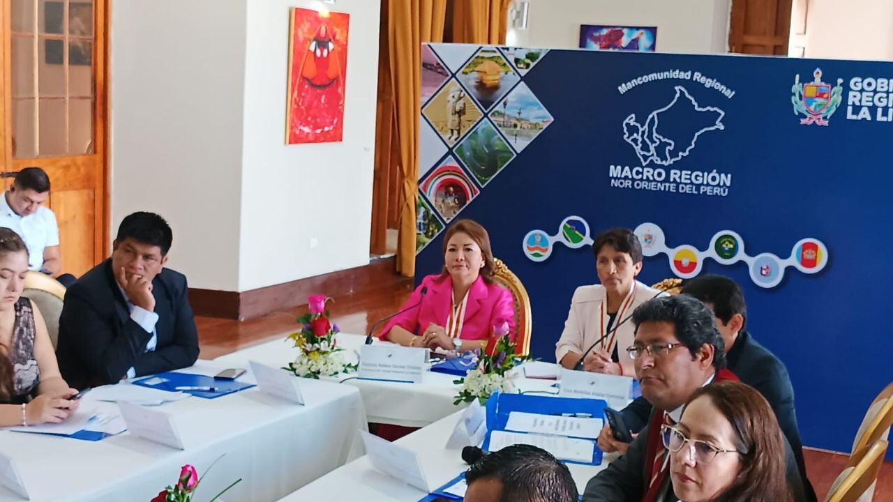 La consejera Verónica Escobal asume Mancomunidad Macro Región Nor Oriente, integrada por ocho regiones. Asegura que el objetivo es atender brechas en Salud.