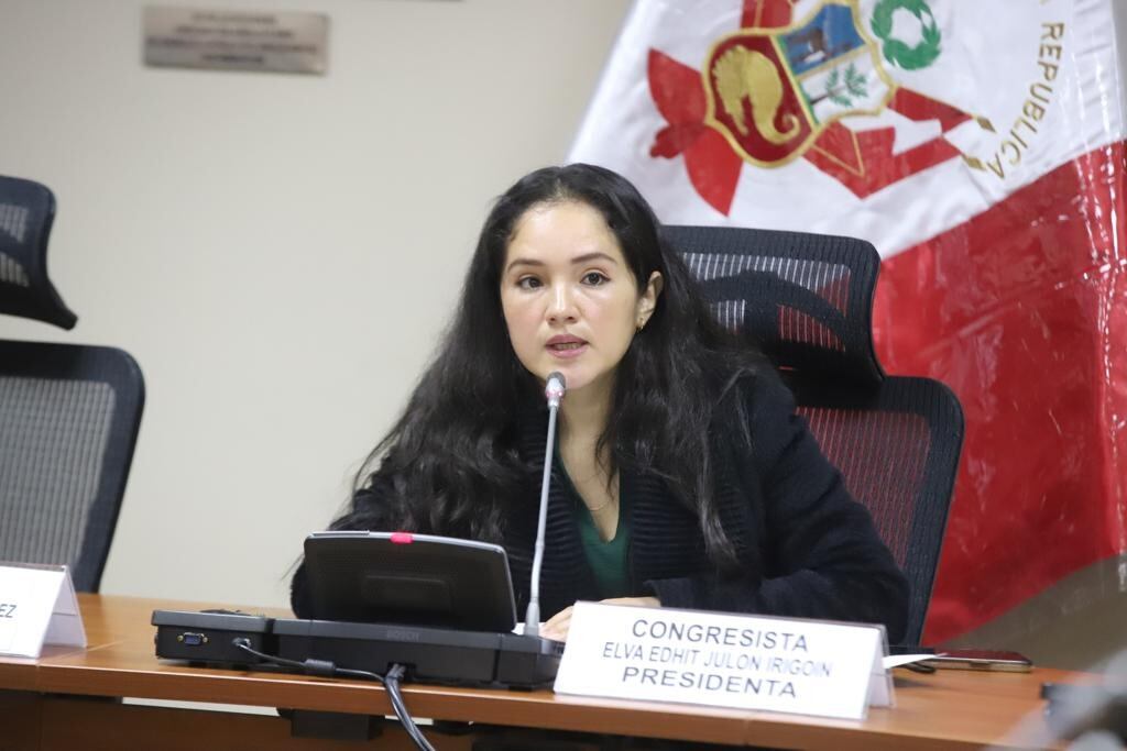 La iniciativa plantea un “régimen legal” para la atención integral. (Foto: Congreso)