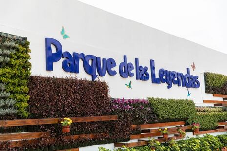 San Miguel: Fallece cuidador de animales exóticos en el Parque de las Leyendas