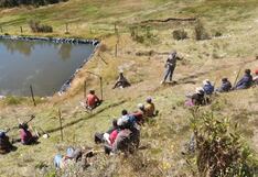 La Libertad: Reforzarán alimentación de ganado vacuno con pasto mejorado