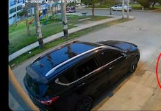 Ica: banda de “robacasas” son captados por urbanizaciones en modernas camionetas