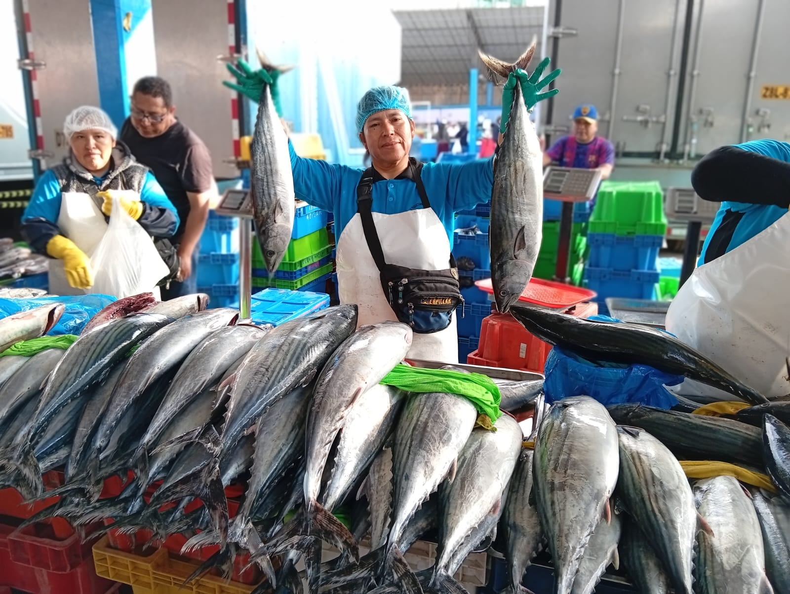 El bonito se ofertó a entre 3.50 a 4.50 soles el kilo y el jurel a 6 soles. (Foto: Adrian Apaza)