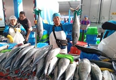 Tacna: Ofrecen 80 toneladas de especies marinas en el mercado Grau