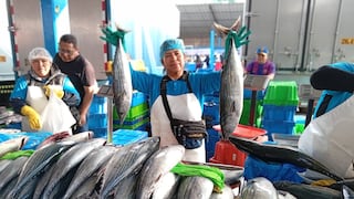 Tacna: Ofrecen 80 toneladas de especies marinas en el mercado Grau