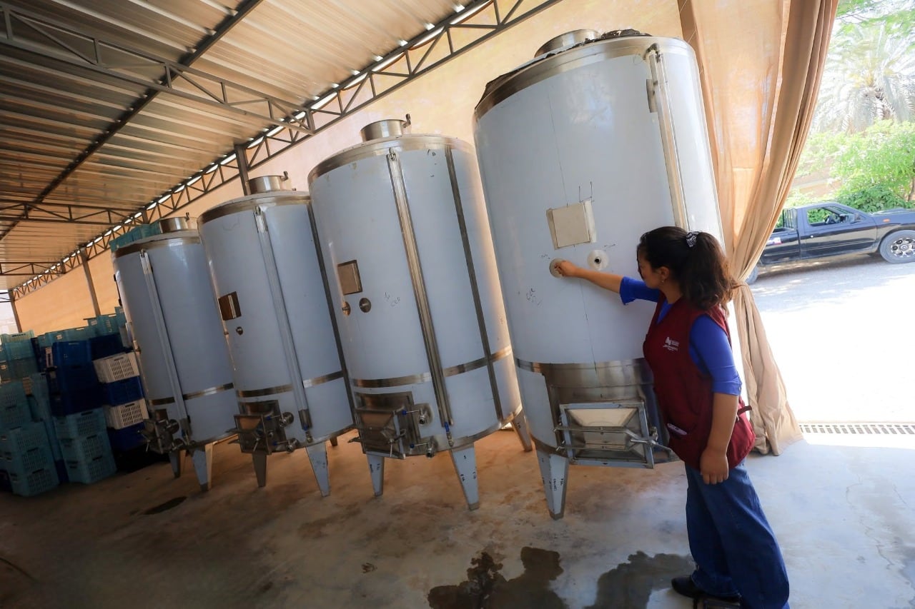 Ica: fortalecen producción de vino seco con uvas patrimoniales en Los Aquijes