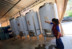 Ica: fortalecen producción de vino seco con uvas patrimoniales en Los Aquijes