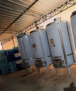 Ica: fortalecen producción de vino seco con uvas patrimoniales en Los Aquijes