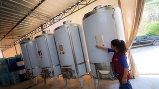 Ica: fortalecen producción de vino seco con uvas patrimoniales en Los Aquijes