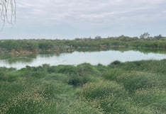Aguas residuales amenazan el humedal Santa Julia en Piura