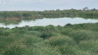 Aguas residuales amenazan el humedal Santa Julia en Piura