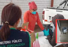 La Libertad: Fiscalía rescata pingüino de Humboldt en Virú