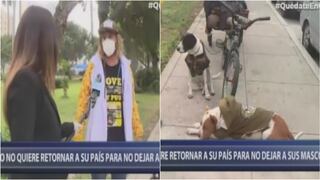 Argentino no puede retornar a su país porque no quiere dejar a sus perritos en desamparo (VIDEO)