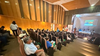 Chincha: impulsan asociatividad, financiamiento e innovación para el desarrollo agrario