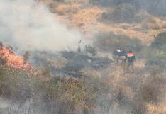 Arequipa: Incendio forestal en Cotahuasi continúa y arrasó con 200 hectáreas
