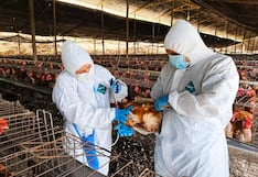 Primer caso grave de gripe aviar en una persona en EEUU enciende las alarmas