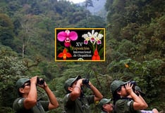 Exposición de orquídeas en Lima: fechas y entradas
