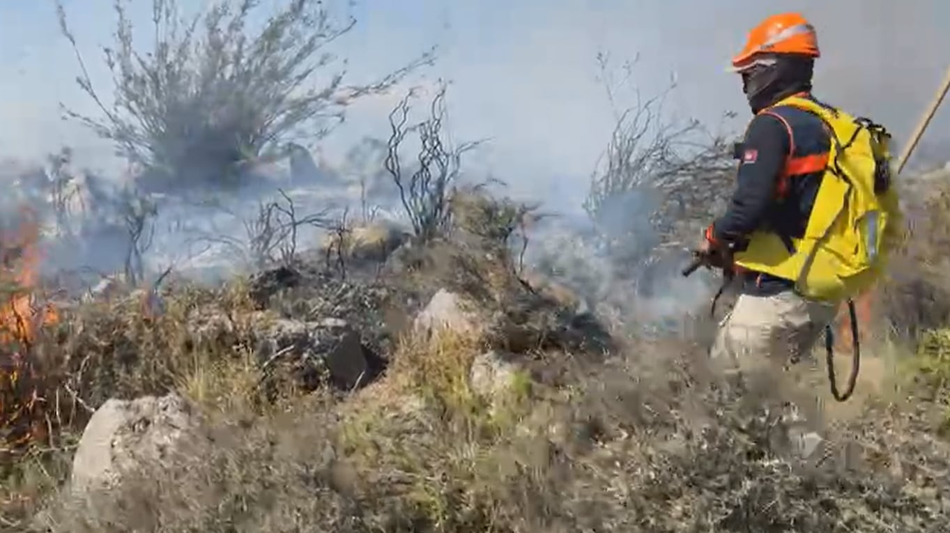 Incendio forestal lleva 24 horas sin ser controlado en Pocsi, Arequipa