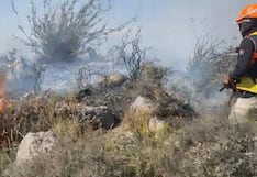 Incendio forestal lleva 24 horas sin ser controlado en Pocsi, Arequipa