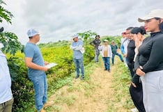 Piura: Autoridades promueven la siembra de ají de exportación