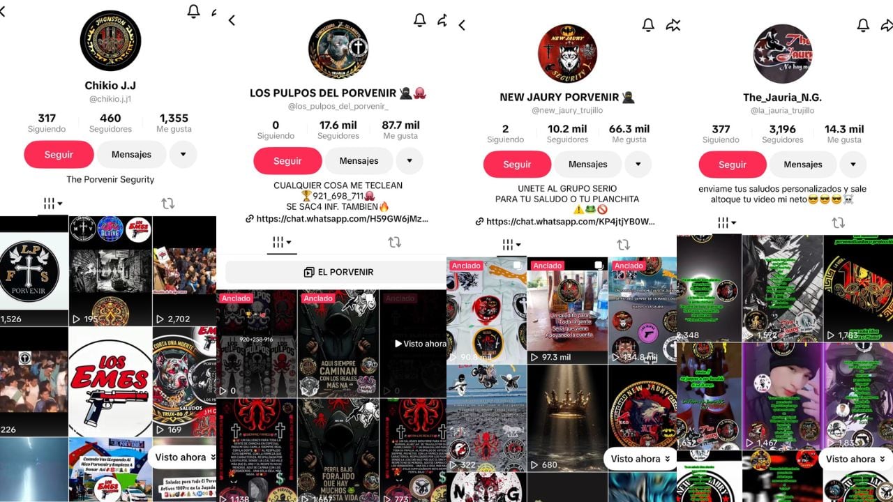 Organizaciones delictivas ofrecen sus servicios de “protección”, venta de stickers, merchandising y envío de saludos personalizados en red social. Especialista advierte que las bandas pretenden normalizar la violencia y acercar a menores al mundo del hampa. Caso será notificado a la Policía de Ciberdelincuencia.