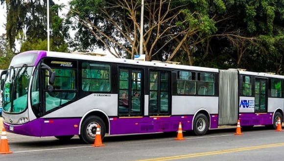 Nuevo bus del Corredor Morado. Foto: ATU