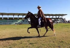 Arequipa: Santa Rita de Siguas alista su XIII Concurso Distrital del Caballo Peruano de Paso