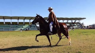 Arequipa: Santa Rita de Siguas alista su XIII Concurso Distrital del Caballo Peruano de Paso
