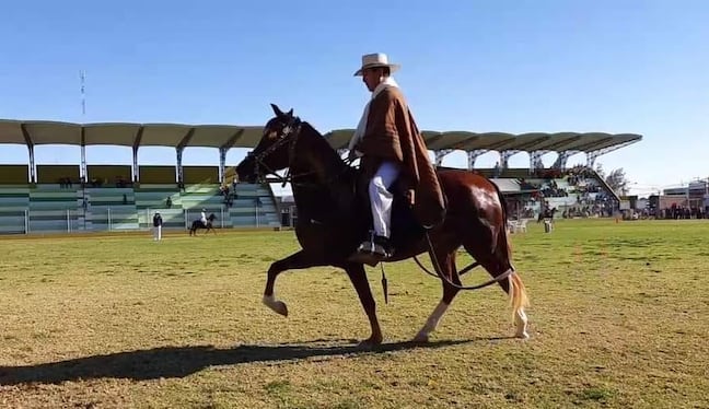 El distrito de Santa Rita de Siguas será sede del XIII Concurso Distrital del Caballo Peruano de Paso. Foto: GEC.