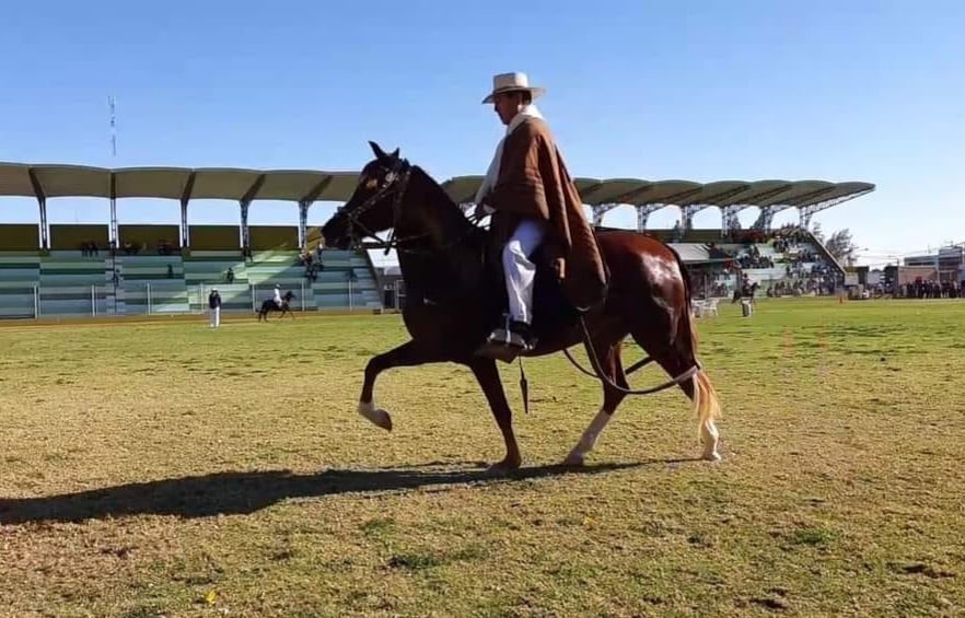El distrito de Santa Rita de Siguas será sede del XIII Concurso Distrital del Caballo Peruano de Paso. Foto: GEC.