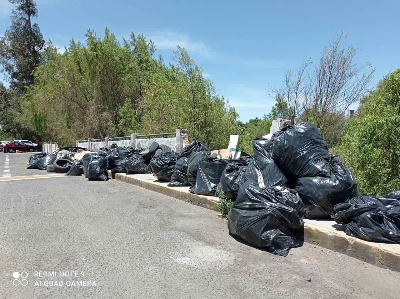 Las personas participarán de la caminata canina y a su vez apoyarán en la limpieza de la ribera del río Chili