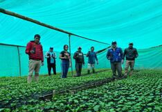 Piura: Caficultores de Carmen de la Frontera mejorarán su producción con vivero