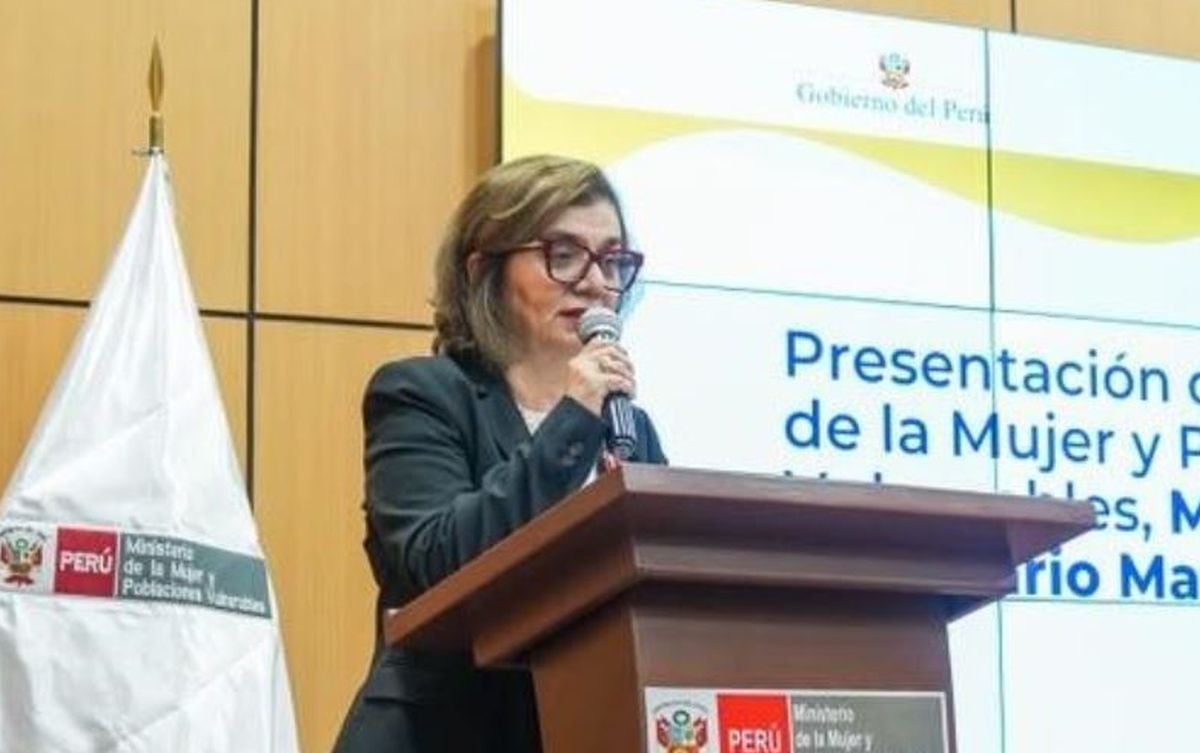 La ministra de la Mujer sostuvo que una eventual negativa del Congreso afectaría a la población que demanda acciones frente al Fenómeno El Niño. La Comisión de Constitución continúa este miércoles el debate del predictamen que recomienda no aprobar la solicitud del Gobierno. (Foto referencial MIMP)