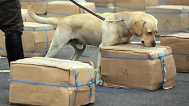 Amenazan de muerte a perro rastreador de droga en Brasil