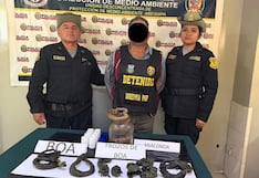 Detienen a hombre por tráfico ilegal de fauna silvestre en Arequipa