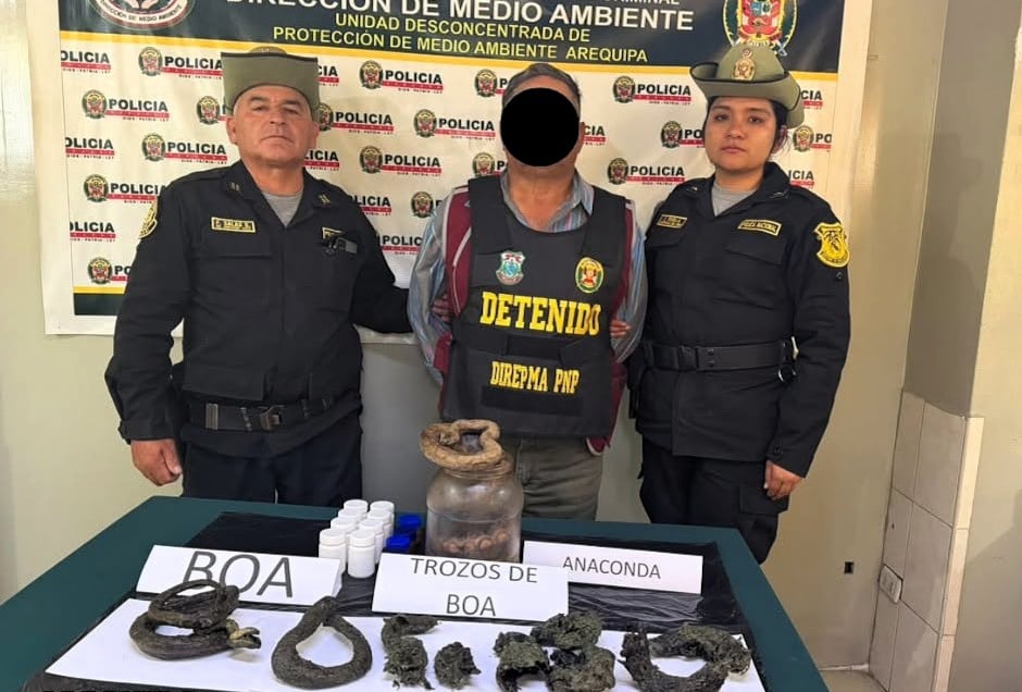 Varón de 63 años detenido por el presunto tráfico ilegal de fauna silvestre en Arequipa. Foto: PNP.