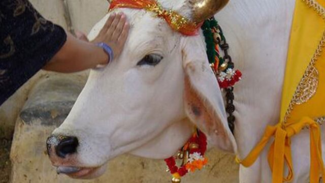 India: Linchan hasta la muerte a un musulmán por sacrificar una vaca