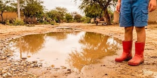 Leptospirosis