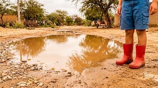 Piura es la segunda región a nivel nacional con más casos de leptospirosis
