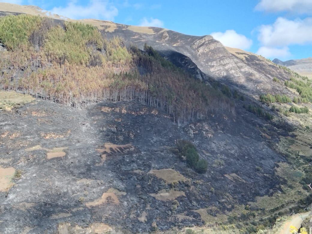 Incendio forestal en la provincia de Sihuas fue controlado después de 10 horas.