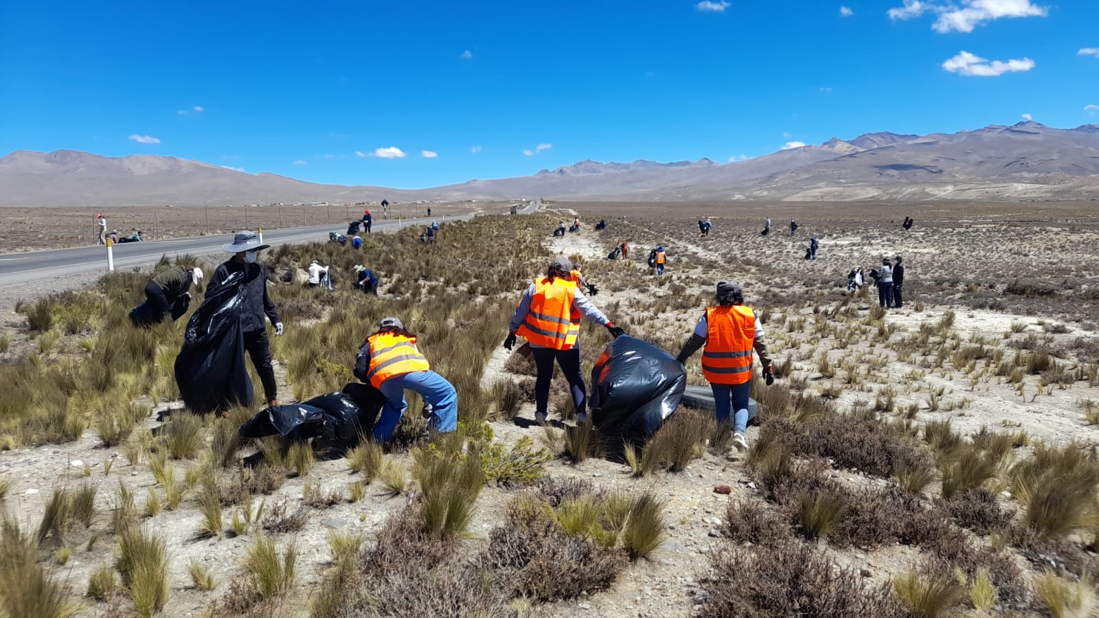 Campaña de limpieza en la Reserva Nacional de Salinas y Aguada Blanca, jurisdicción del distrito de Yanahuara. Foto: Municipalidad de Yanahuara.