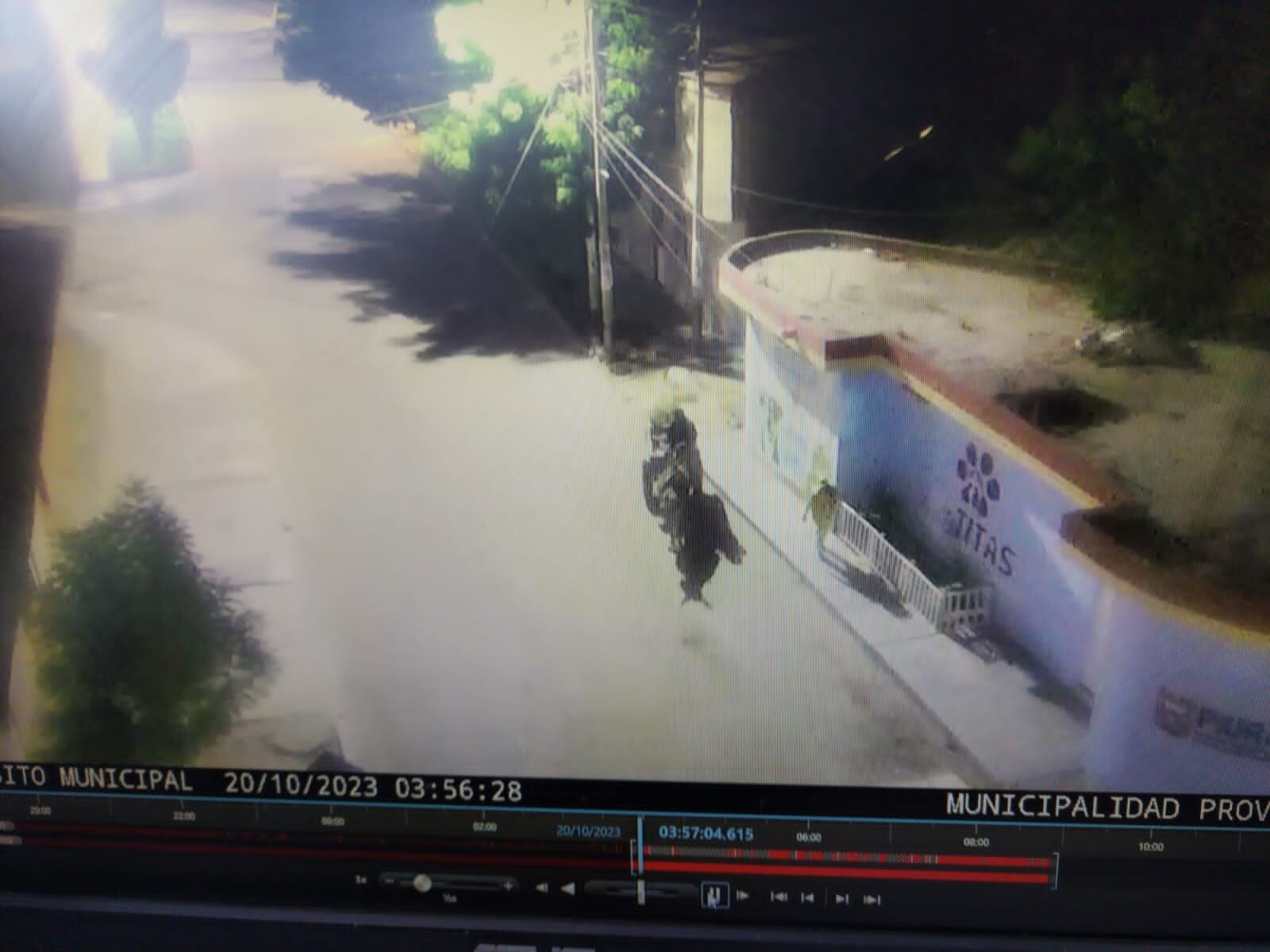 Cámaras grabaron el momento del abandono de los dos perros en el exterior de veterinaria municipal