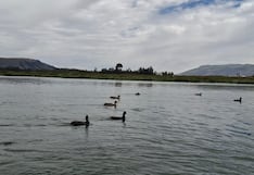 Jauja: Después de la tunantada turistas visitarán la laguna de Paca