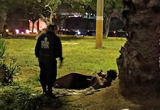 Trujillo: Retiran a jóvenes que dormían en el óvalo La Marina