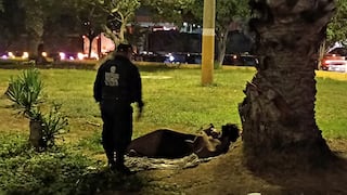 Trujillo: Retiran a jóvenes que dormían en el óvalo La Marina