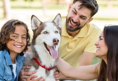 Leptospirosis en verano: medidas que protegen a tu perro y a tu familia
