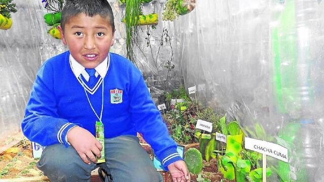 Puno: ​estudiantes de colegios melgarinos se lucen con proyectos ambientales 