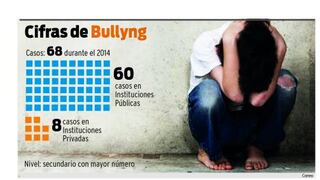 Junín: Más de medio centenar de escolares fueron víctimas de Bullying en el 2014
