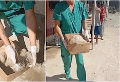 Ica: rescatan a perro que tenía su cabeza en estado de putrefacción en Santiago